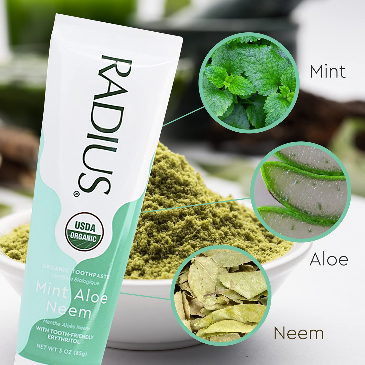 RADIUS Toothpaste, Mint Aloe Neem, 3 oz, USDA Organic Non-Toxic Chemical-Free Gluten-Free, Designed to Improve Gum Health & Prevent Cavities, Pack of 1