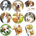 1.5" Dog Stickers for Kids Teachers, 500 Pcs Dog Puppy Stickers for Toddlers Birthday Party, School Reward, Giveaways