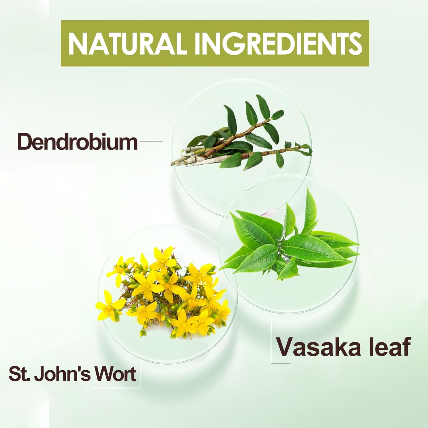 Fresh Breath Oral Spray,Raw Meal Extract Pulmonary Support Spray,1 fl oz/30ml