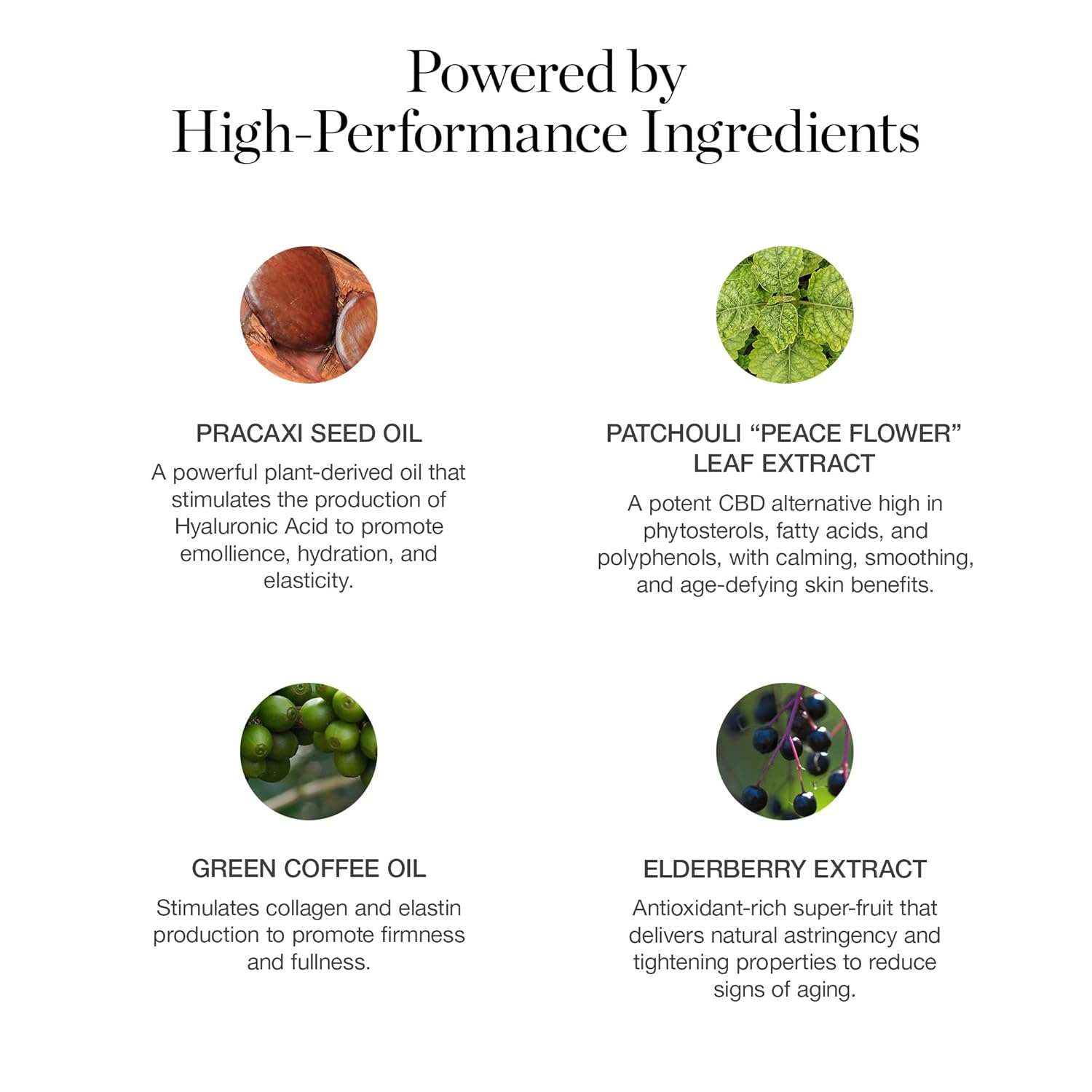 Ogee Sculpted Complexion Foundation Stick (Willow 3.00C - Medium Light, Peach-Beige Undertones) Full Coverage Foundation Makeup - Instantly Balance & Even Complexion - 70% Organic Ingredients