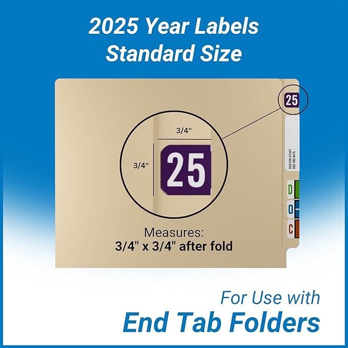 2025 Year Stickers, Doctor Stuff 2025 Chart Stickers, Purple Color Coded, STS/SFI Style, USA Made Year Labels for End Tab File Folders, 500/Roll, 1 Roll, 3/4" x 1-1/2"