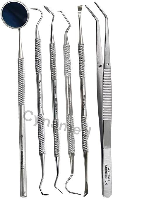 Premium Dental Tools, Plaque Remover for Teeth, Professional Hygiene Cleaning Kit,Stainless Tooth Scraper Plaque Tartar Remover Cleaner,Dental Pick Scaler Oral Care Tools Set (Set of 6 with CASE)