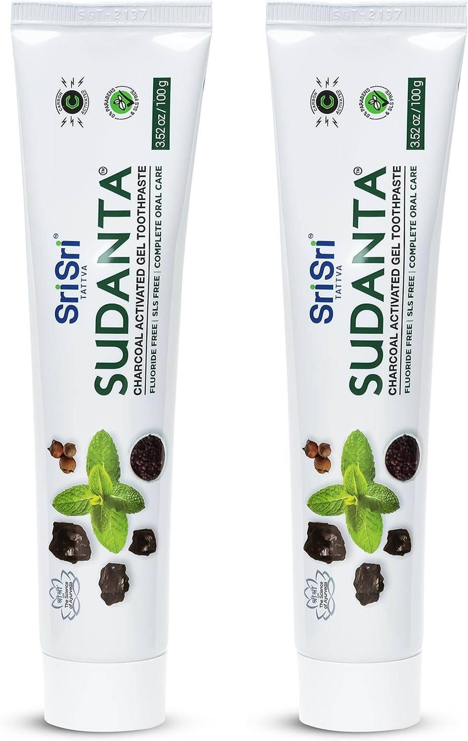 Sri Sri Tattva Sudanta Charcoal Toothpaste Gel – SLS, Fluoride Free Herbal Toothpaste with Neem & Ayurvedic Herbs – Natural Teeth Whitening, Fresh Breath, Oral & Gum Health – 100g Tube (Pack of 2)