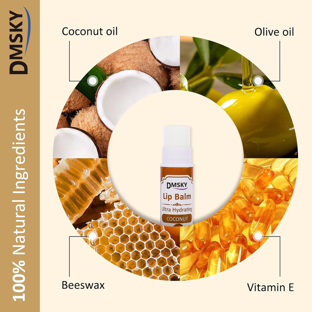 DMSKY 240 Pack Lip Balm, Natural Lip Balm Bulk with Vitamin E and Coconut Oil, Christmas Stocking Stuffers, Christmas Gifts for Women Girls-12 Flavors