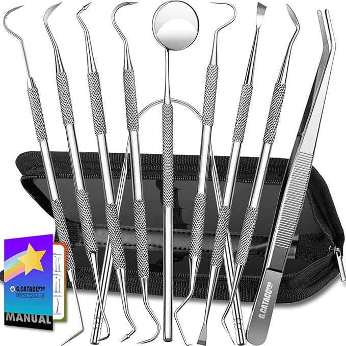 G.CATACC 10 Pack Dental Tools, Professional Plaque Remover for Teeth Cleaning Tools Set, Stainless Steel Hygiene Kit with Dental Pick Tooth Scraper Plaque Tartar Remover Tongue Cleaner - with Case