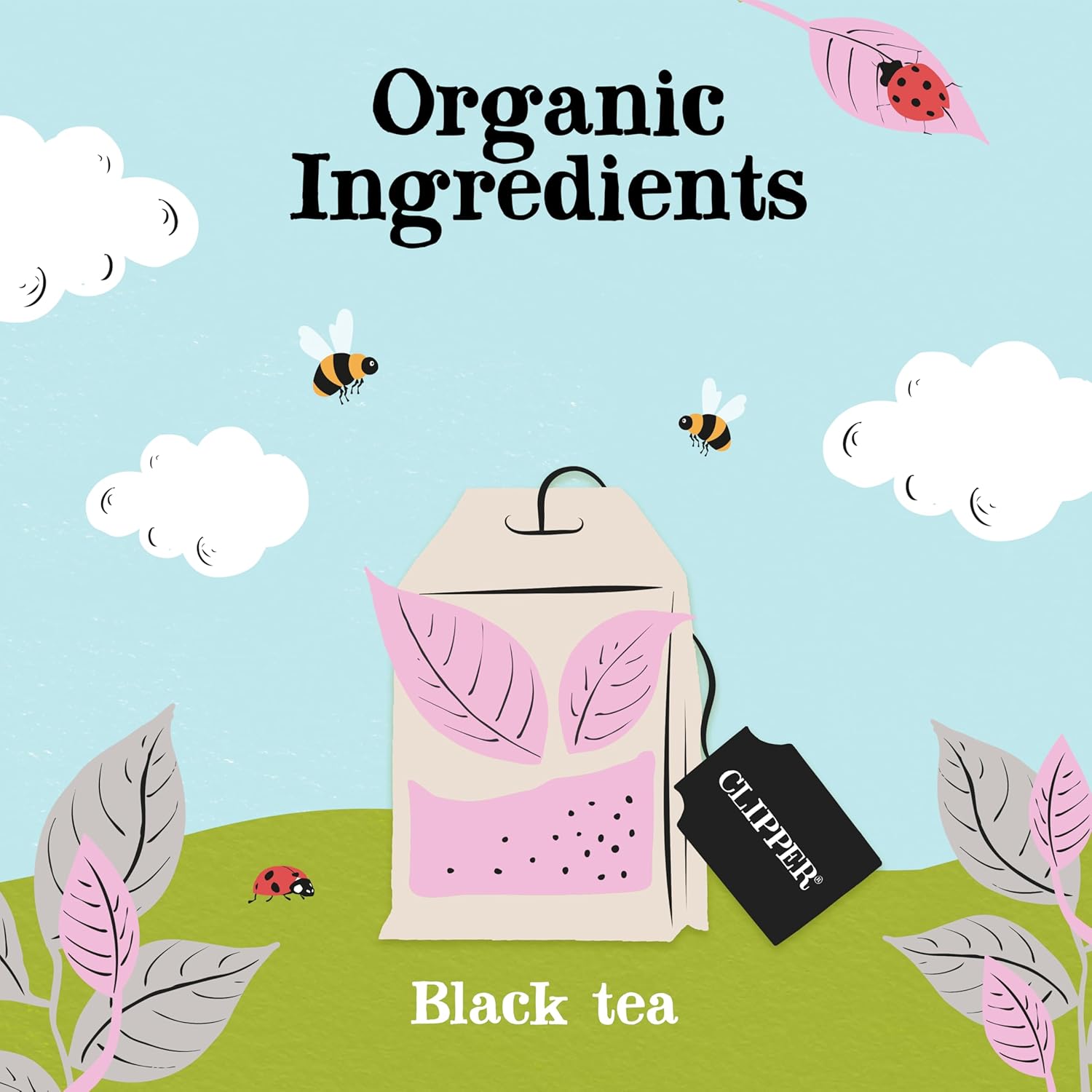 Clipper Tea Organic Earl Grey - USDA Organic, Non-GMO, Fair Trade, Sustainable Caffeinated Tea, 1 Pack, 20 Unbleached Tea Bags