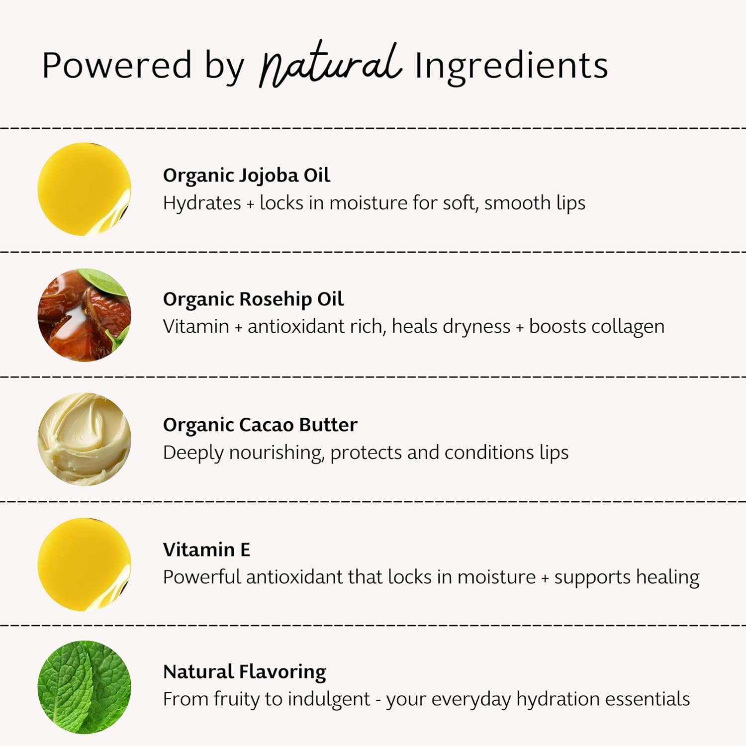 Slo | Natural Lip Balm - All Natural Ingredients, Vegan & Cruelty Free, Hydrating & Soothing, Plastic Free | Pina Colada + Zinc & Peppermint + Vitamin E & Vanilla + Cacao - 3 Pack (3 x 0.28oz/8g)