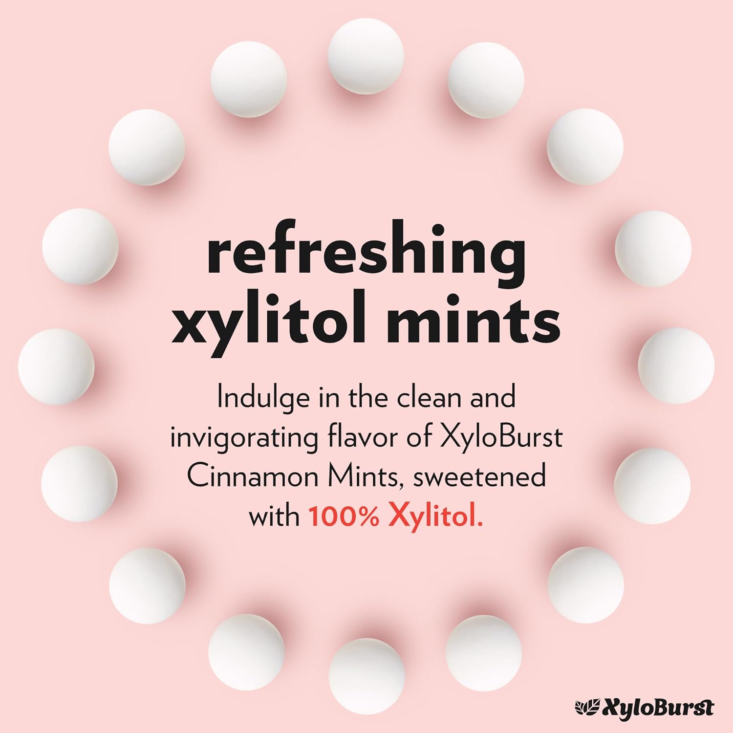 XyloBurst - Xylitol Mints | Sugar Free Breath Mints for Oral Health | Gluten Free, Vegan, Keto Friendly | Aspartame Free| Cinnamon | 60 Count Jar, 8-Pack