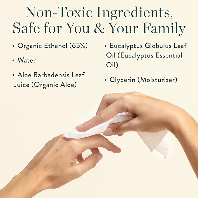 Biom Mini Dispenser + Hand Sanitizing Wipes Starter Kit - Eucalyptus Scented, Biodegradable, Kid-Safe | Fits in Cup Holder | All Natural, Plant-Based Non-Toxic Wipes with Aloe for Soft Skin (Bone)