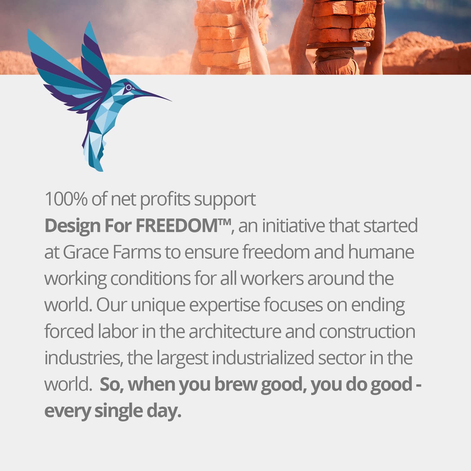 Grace Farms SETTLE Wellness Organic Tea Blend (100 Enveloped Pyramid Sachets w/ String & Tag) | Peppermint Cacao | Relaxing and Digestive Support | Fairtrade and Kosher | Filled With Antioxidants and Stress-Relieving Herbs | Gives Back 100% of Profits