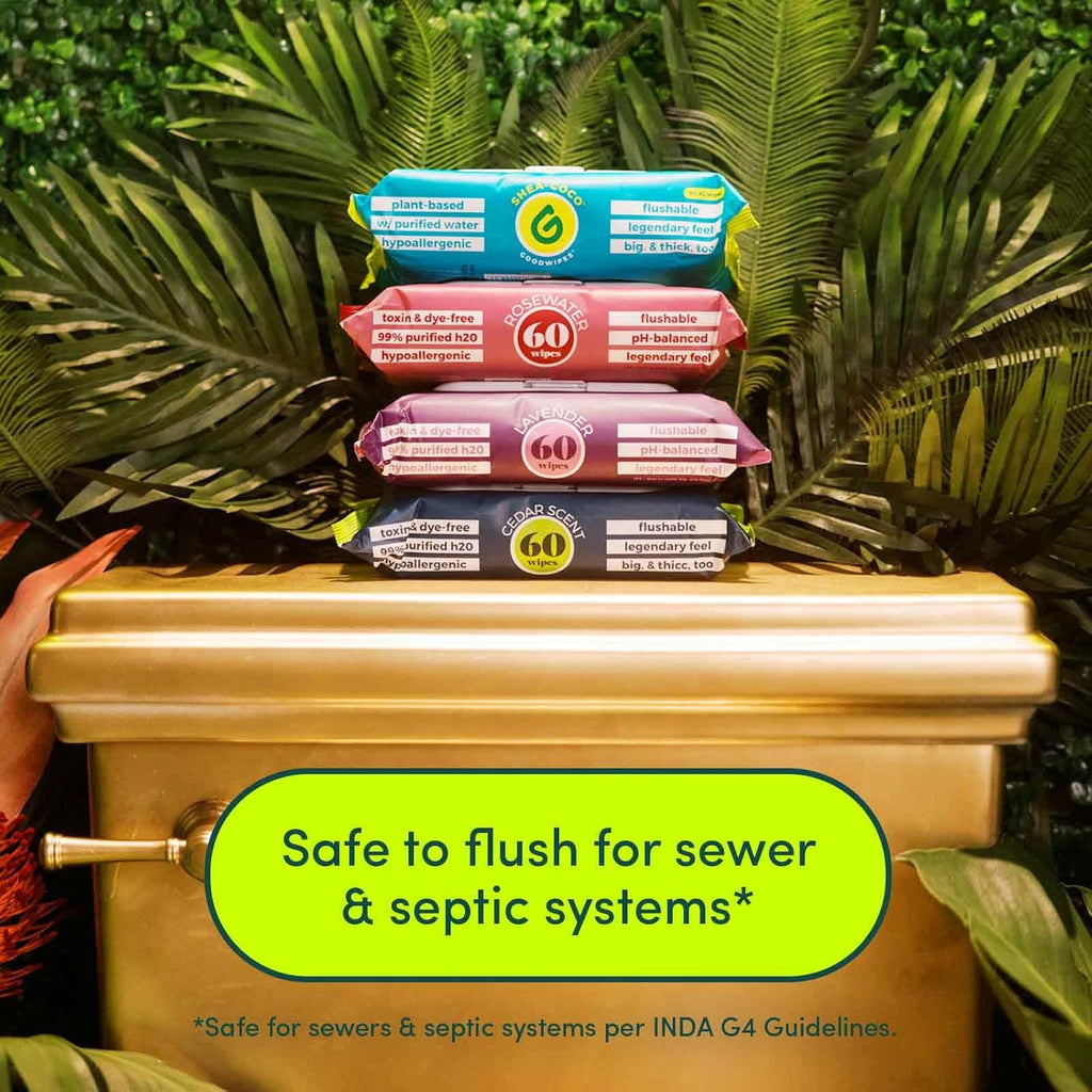 Goodwipes Flushable Butt Wipes - Vitamin E & Aloe - Soft & Gentle Wet Wipe Dispenser, Septic & Sewer Safe - Largest Adult Toilet Towelettes - Shea-Coco, 180 Count (3 Packs) + 3 Individually Wrapped