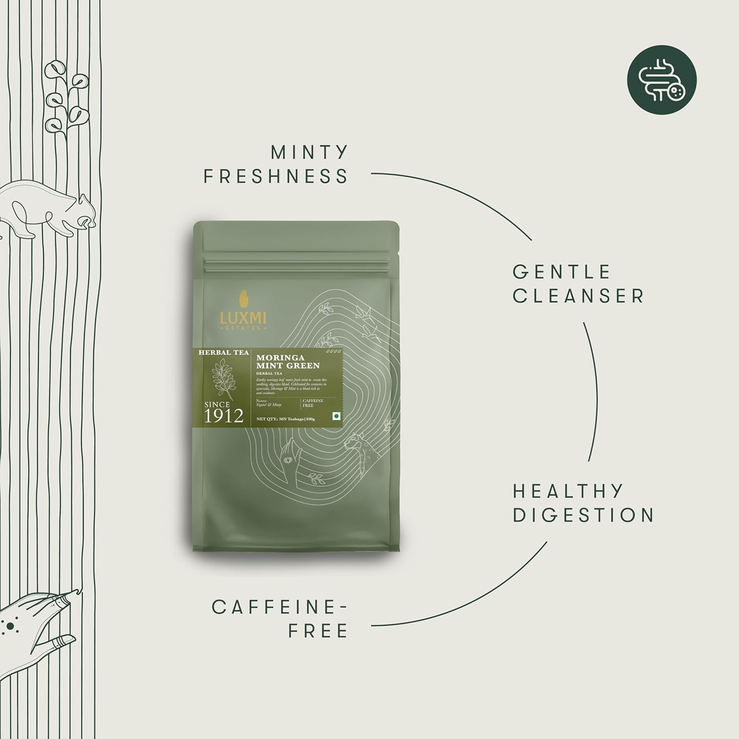 Luxmi Estates Moringa Mint Organic Moringa Mint Green Tea (50 Tea Bags) Caffeine Free Tea Bags For Digestion, Detox, and Stress Relief, With Certified Organic Herbal Tea
