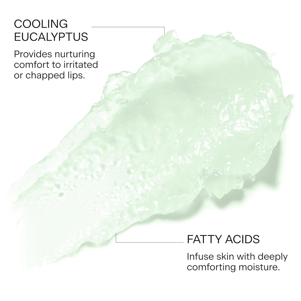 FEMMUE Lip Sleeping Mask (Mint Bliss) | Overnight Hydrating Lip Treatment | Plumping & Softening | With Eucalyptus and Squalane to Soften Dry, Chapped Lips