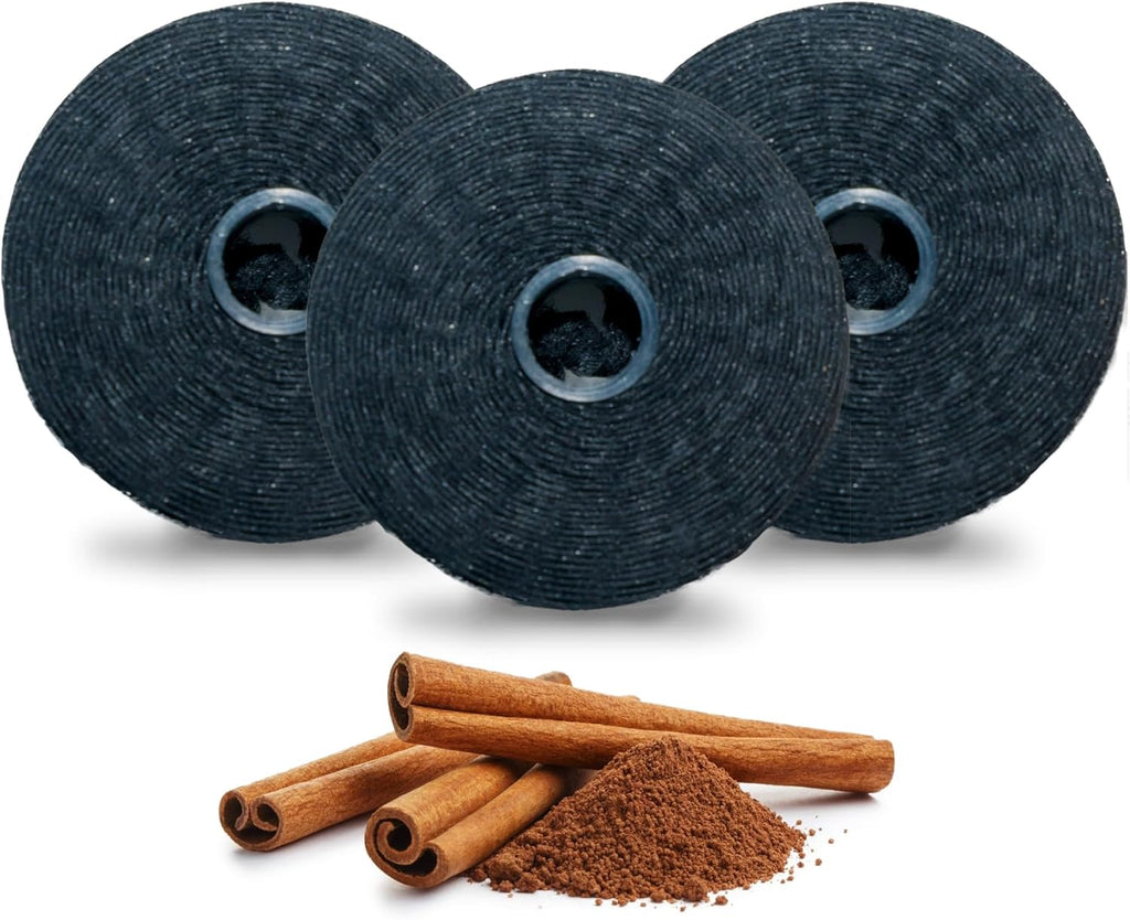 Xlent Expandable Floss Treated Activated Charcoal, Xylitol Natural Based Wax (Cinnamon, Pack of 3 (Refills Only))