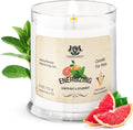 Pet Odor Eliminator Candle Grapefruit and Spearmint Scented Candle, Calming Candles Aromatherapy for Home Decor, Soy Wax Pet Candles Odor Eliminator for Animal Lover, Aromatherapy by Gerrard Larriett