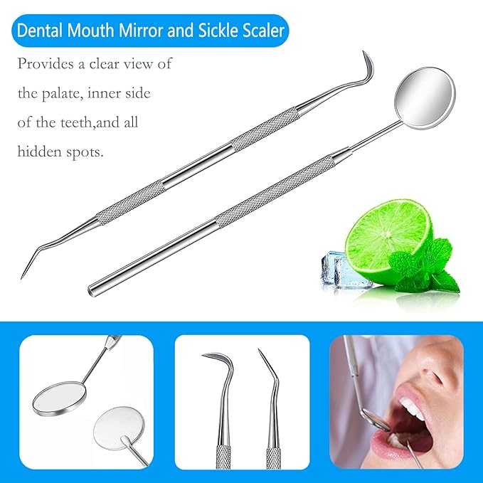 Dental Tools, Professional Plaque Remover Teeth Cleaning Tool Kit, Stainless Steel Dental Pick Tartar Scraper Tooth Cleaner, Oral Care Hygiene Set for Dentist Personal Pets with Storage Box