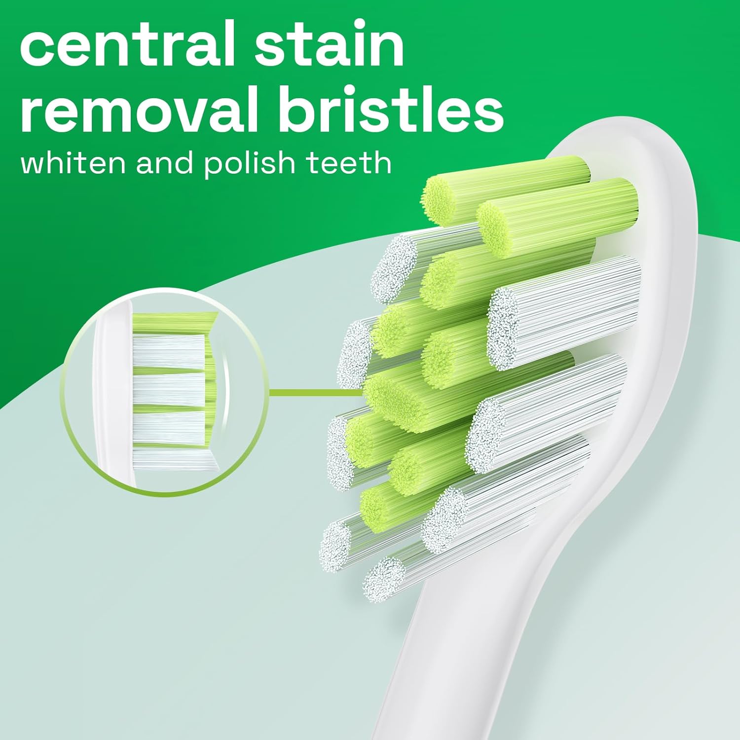 Brushmo Whitening Replacement Toothbrush Heads, Compatible with Philips Sonicare Click-on Electric Toothbrush Handles, 8 Standard Heads, Medium Firm Diamond-Shape Dupont Bristles, BM668, White