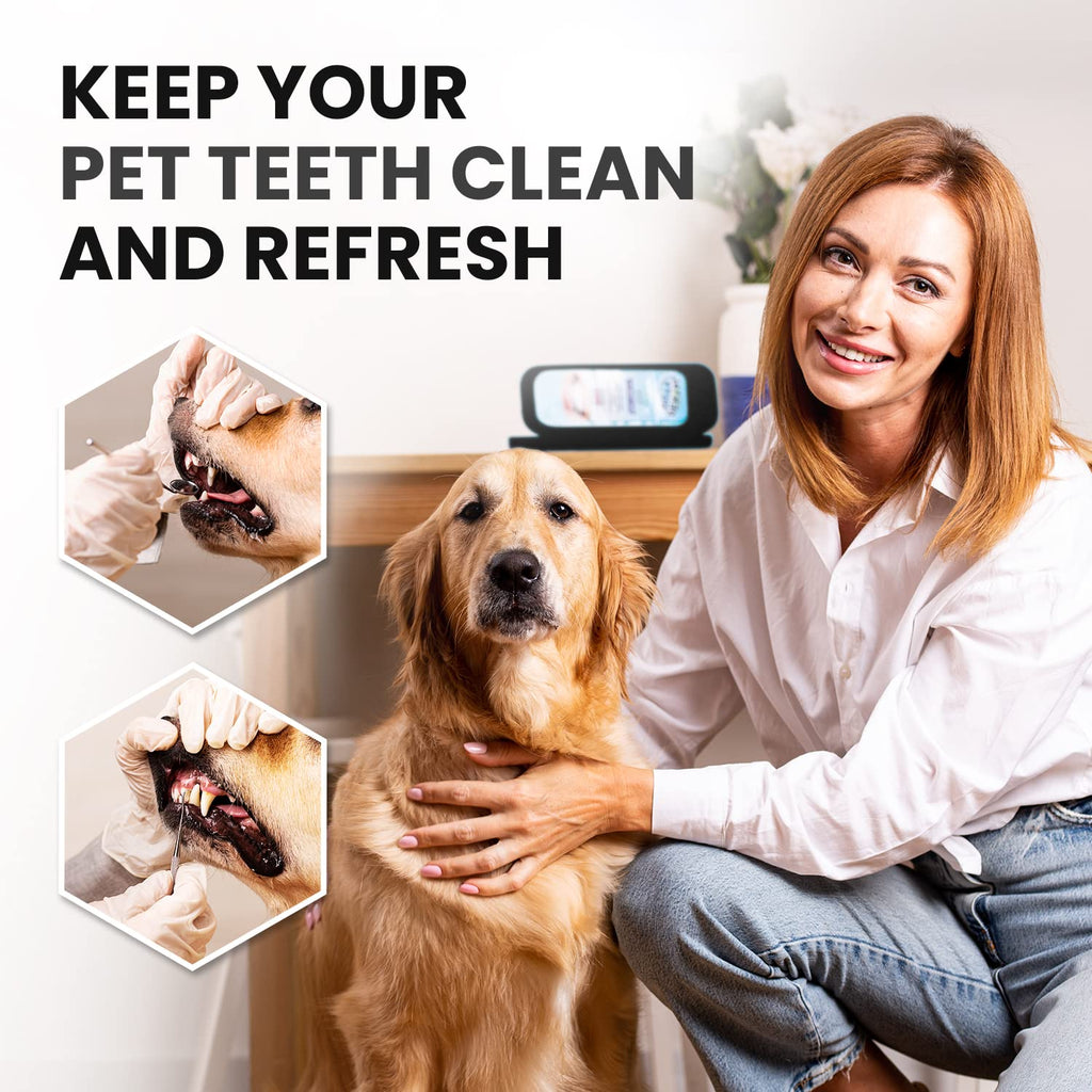 Dental Duty Dental Tools, Dental Pick for Teeth Cleaning Tools – Plaque Remover for Teeth with Teeth Cleaning Kit - Stainless Steel Dental Mirror for Teeth, Scraper and Scaler, (Black)