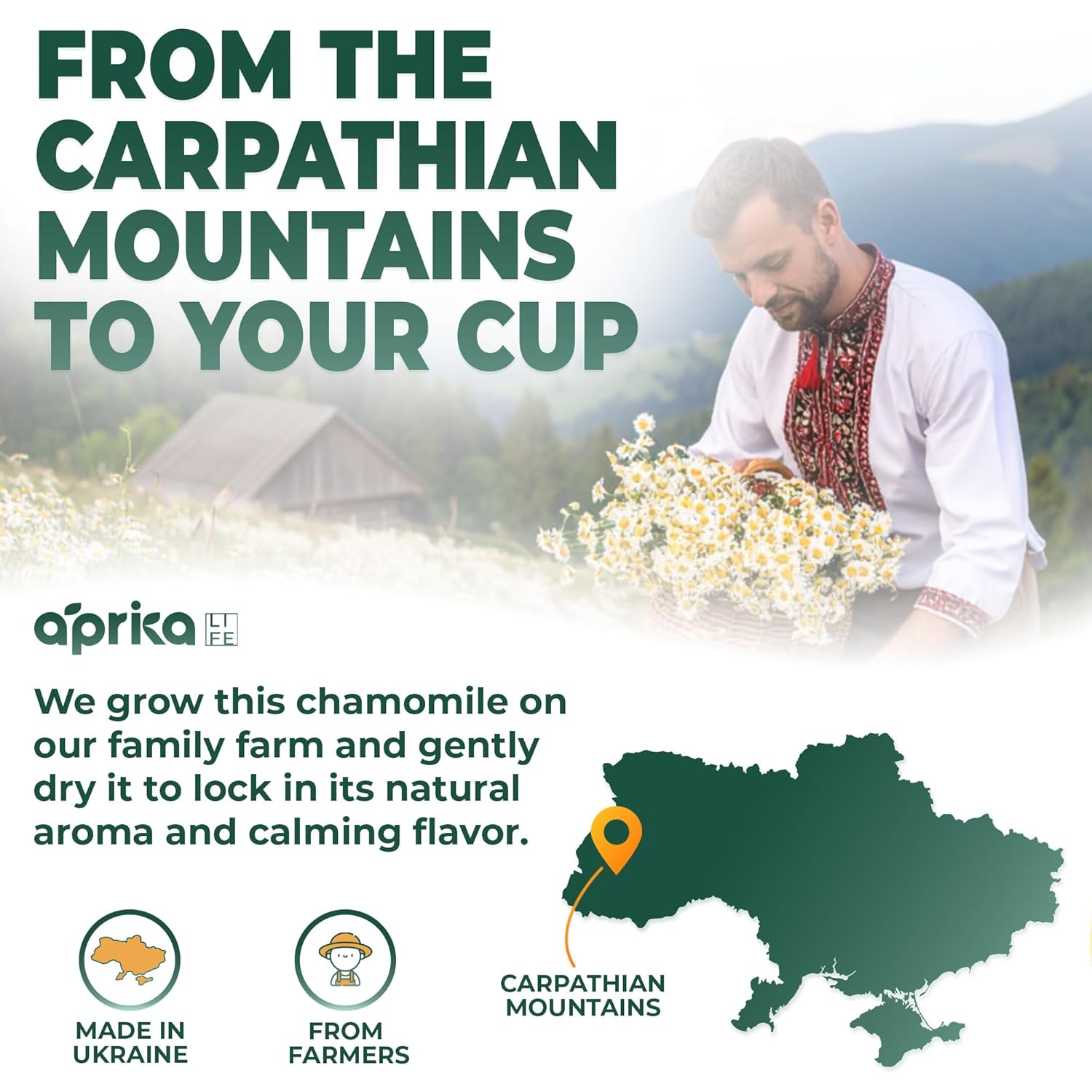 100% Pure Chamomile Tea - Only Flowers without Stems, Chamomile Tea Bags Caffeine Free, 60 count, Calming Tea Chamomile by Aprika Life