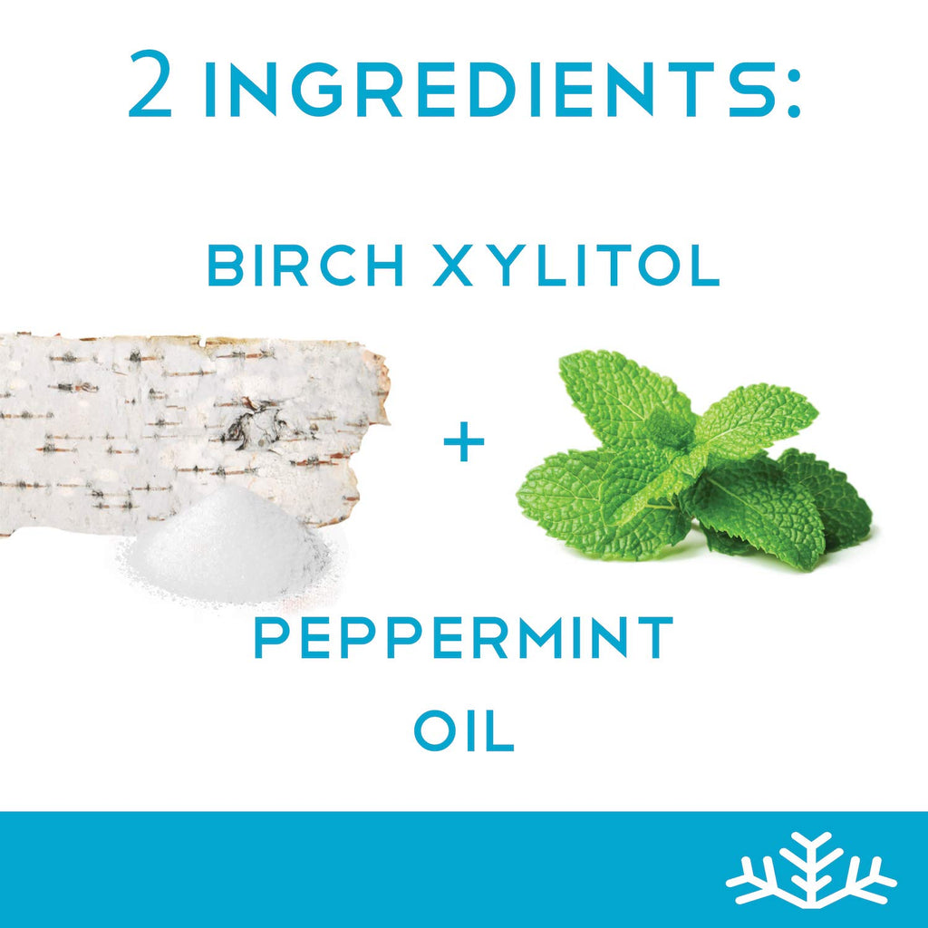 Mint Assortment KETO Xylitol Candy Chips (3-Pack) - SNØ 1.5oz Tin - Sugar-Free Candy With Only 2 Ingredients | Low Carbs, Diabetic-Friendly, Non-GMO, Vegan, GF & Kosher | Purest candy in the world!