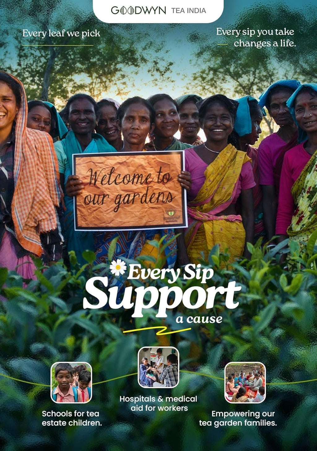 Goodwyn Chamomile+ & La Menta Peppermint – 100 Tea Bags Each, Herbal Tea Collection