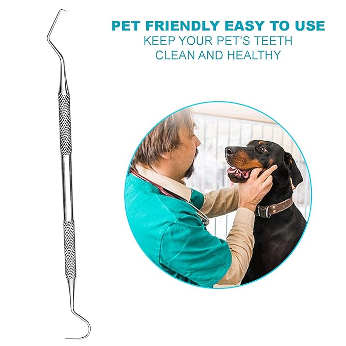 Professional Dental Tools - Dental Pick, Dental Scaler for Tartar Plaque Remover Tooth Cleaner Teeth Scraper Dentist Hygienist Kit Sickle Scaler Teeth Cleaning Set Stainless Steel 2 Pc By Krisp Beauty