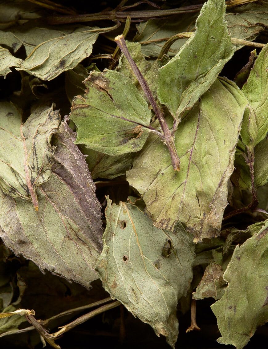 Dammann Freres Sachets, Menthe Poivrée Tea Bags, Premium Gourmet French Peppermint Herbal Tea, Individually Wrapped, 24 Count