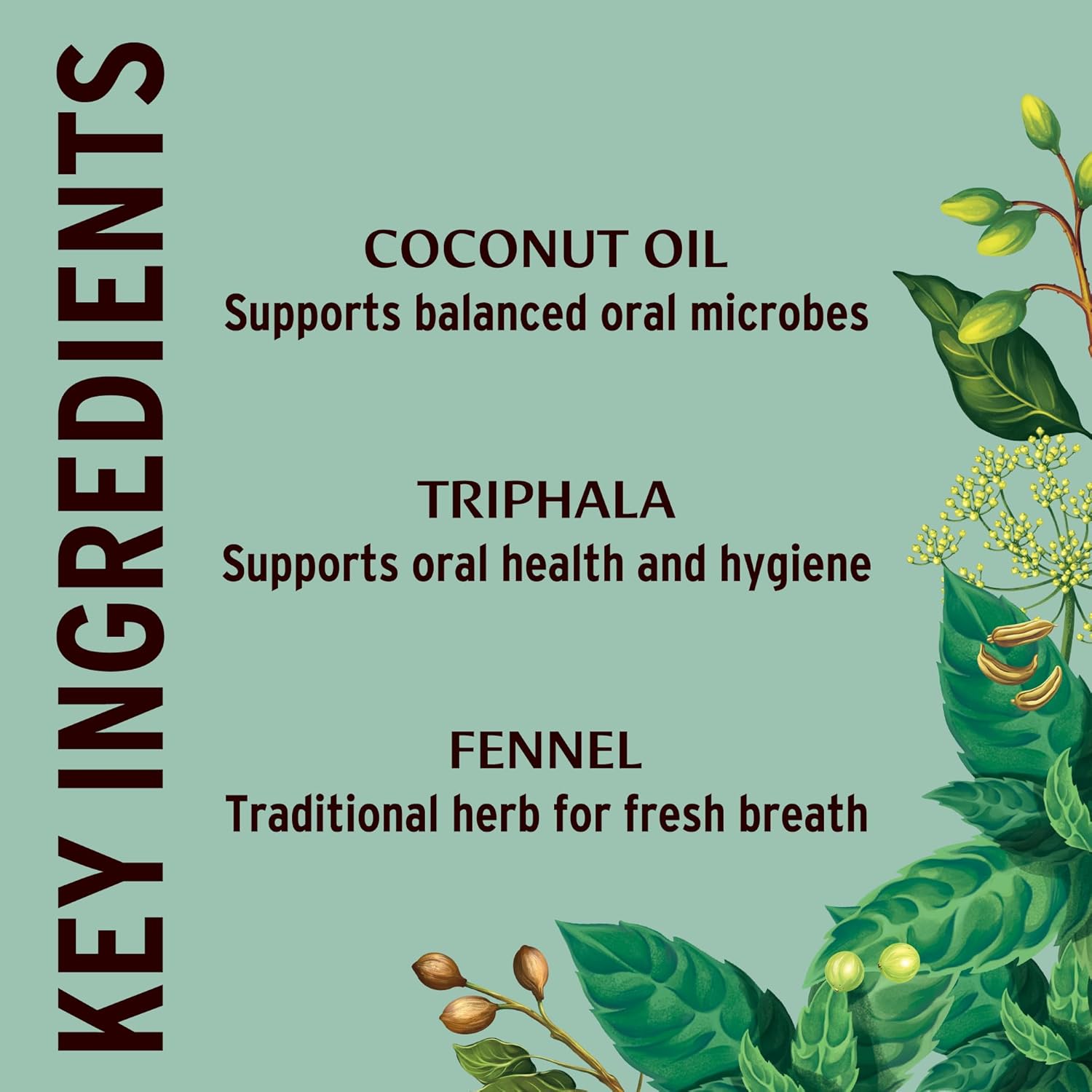 Banyan Botanicals Mint Daily Swish – Organic Ayurvedic Pulling Oil with Coconut Oil – Mouthwash for Fresh Breath and Sparkling Oral Health* – 8 oz – Non GMO Sustainably Sourced Vegan