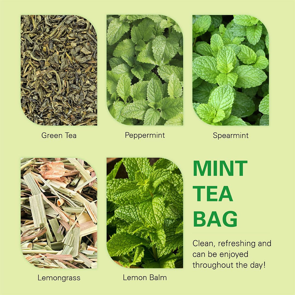 WT WEETEE Mint Green Tea Bags, 100 Count, Perfect blend of Green Tea, Peppermint, Spearmint, Lemongrass, Lemon Balm, Low Caffeine Mint Medley Herbal Tea