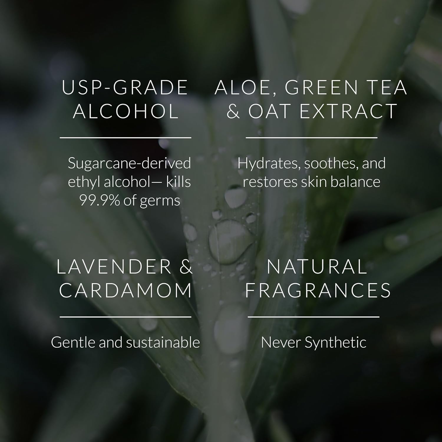 Noshinku Discovery Hand Sanitizer Wipes, 3-Pack (45 Towelettes) – Resealable Travel Wipes with Ethyl Alcohol, Aloe & Green Tea, Plant-Based Fiber, Essential Oil Scents, Cruelty-Free & No Dyes