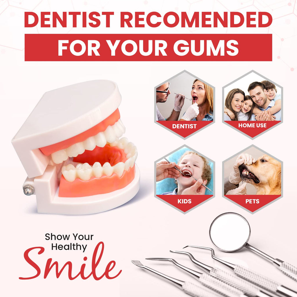 Dental Duty Dental Tools, Dental Pick for Teeth Cleaning Tools – Plaque Remover for Teeth with Teeth Cleaning Kit - Stainless Steel Dental Mirror for Teeth, Scraper and Scaler, (Red)