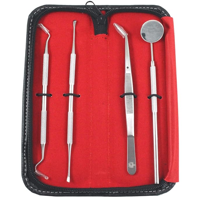 Professional Dental Tools - Dental Pick, Dental Scaler for Tartar Plaque Remover Tooth Cleaner Teeth Scraper Dentist Hygienist Kit Sickle Scaler Teeth Cleaning Set Stainless Steel 4 Pc By Krisp Beauty