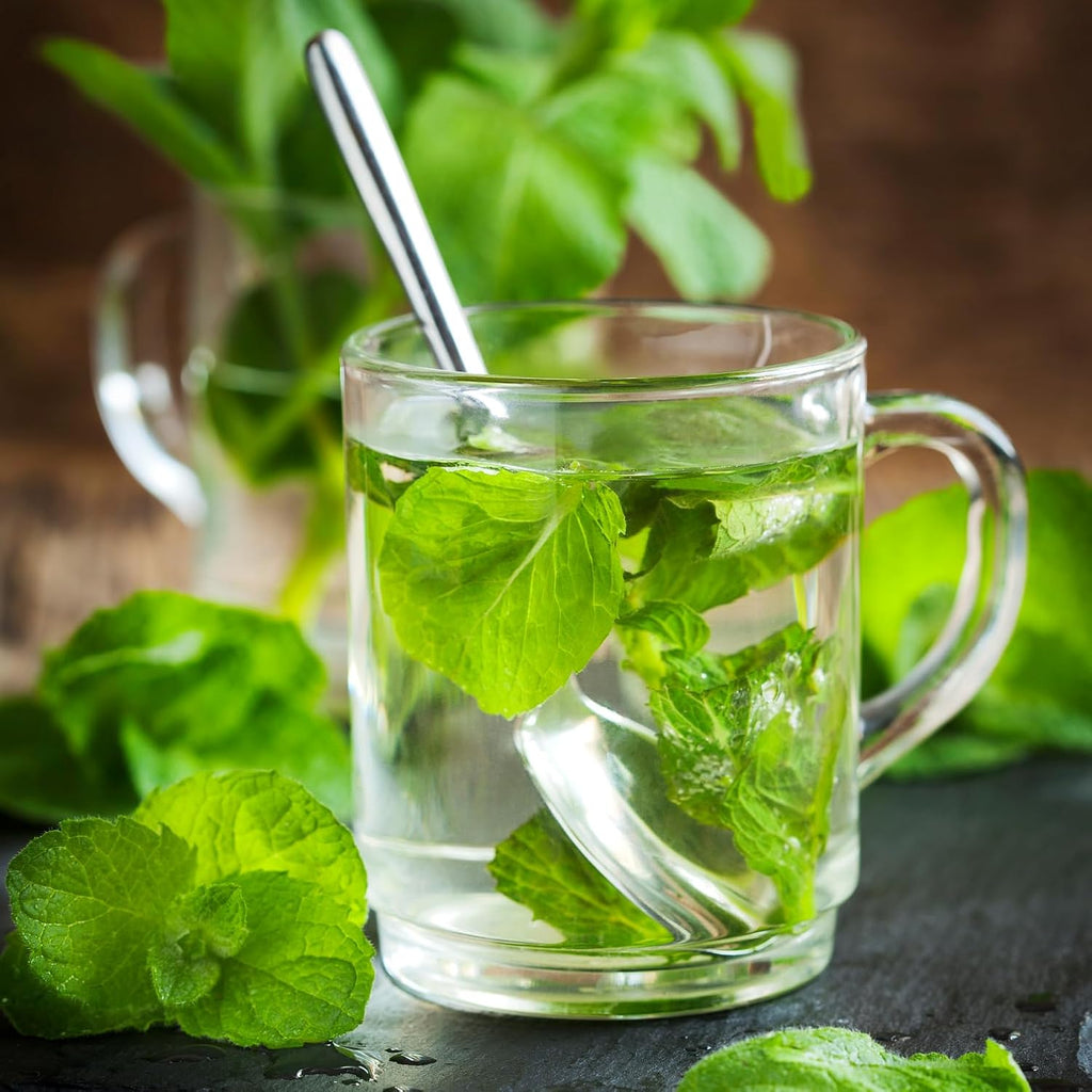 Mint Loose Leaf Tea 250g (8.8oz) – Refreshing Herbal Tea, Cooling Flavor, Caffeine-Free, 薄荷茶