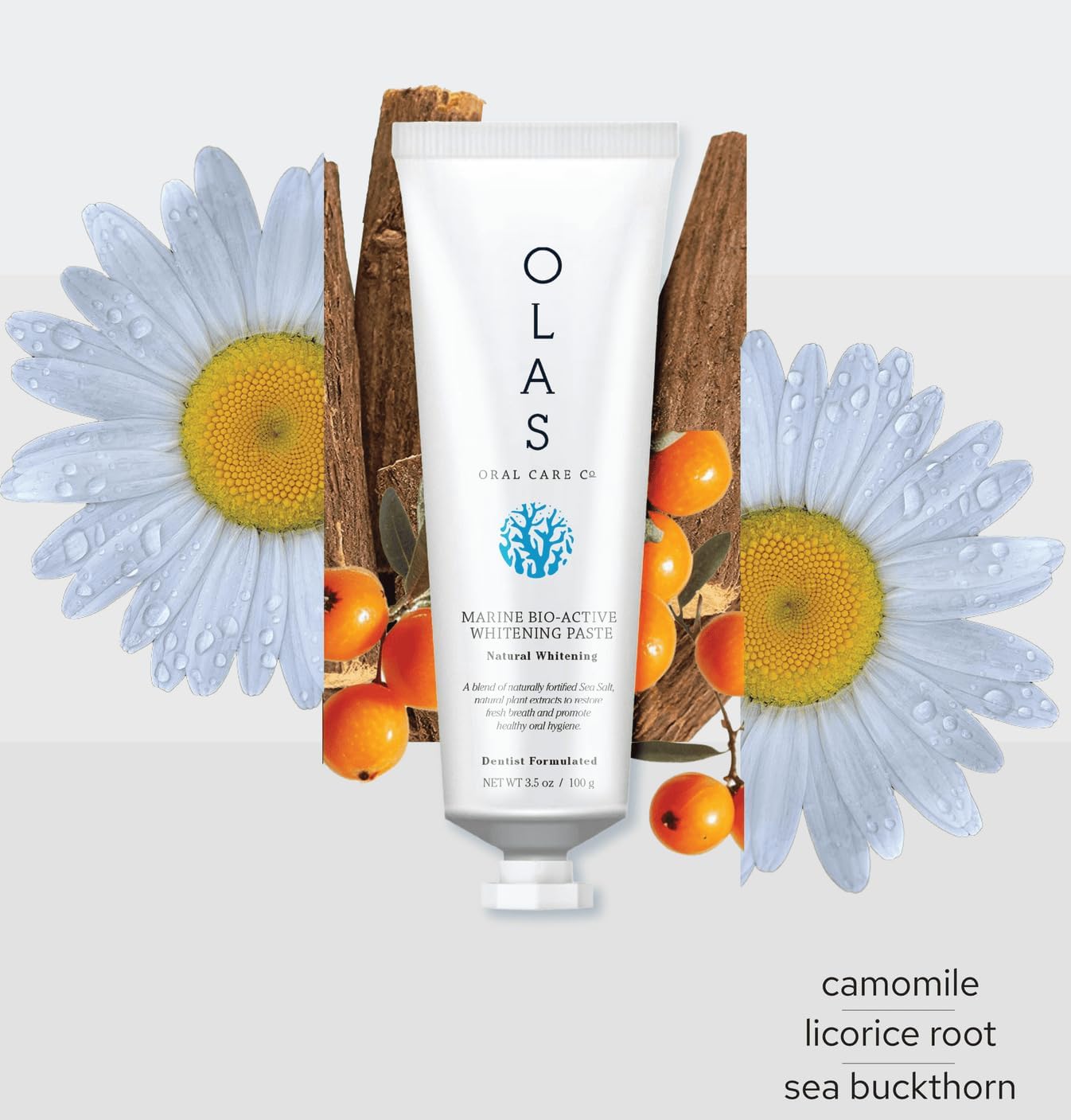 OLAS Complete Oral Care Collection – Marine Bio-Active Toothpaste (3.5oz), Alcohol-Free Mouthwash (200ml), & Travel 3-Pack (1oz Each) – Dentist-Formulated, Fluoride-Free & SLS-Free