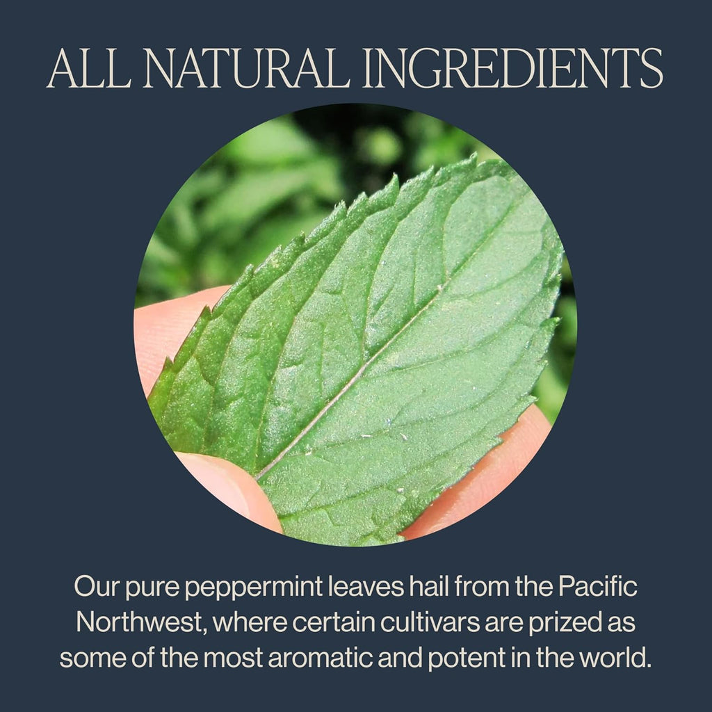 Rishi Tea Peppermint Herbal Tea - Organic, Caffeine Free Sachet Bags, Calming Sweet & Cooling Pure Peppermint Leaves - 50 Count