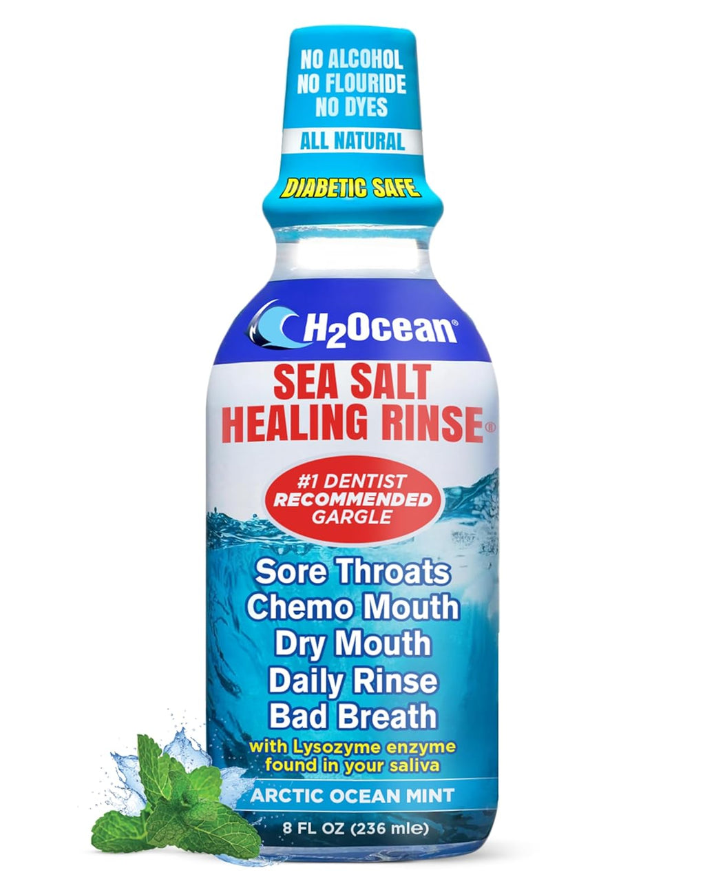 H2Ocean Healing Rinse Mouthwash- Great Tasting Sea Salt & Xylitol Mouth Wash for Fresh Breath & Dry Mouth - Alcohol & Fluoride Free - Arctic Ocean Mint 8oz