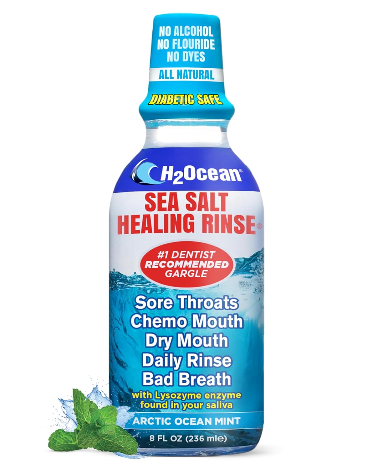 H2Ocean Healing Rinse Mouthwash- Great Tasting Sea Salt & Xylitol Mouth Wash for Fresh Breath & Dry Mouth - Alcohol & Fluoride Free - Arctic Ocean Mint 8oz