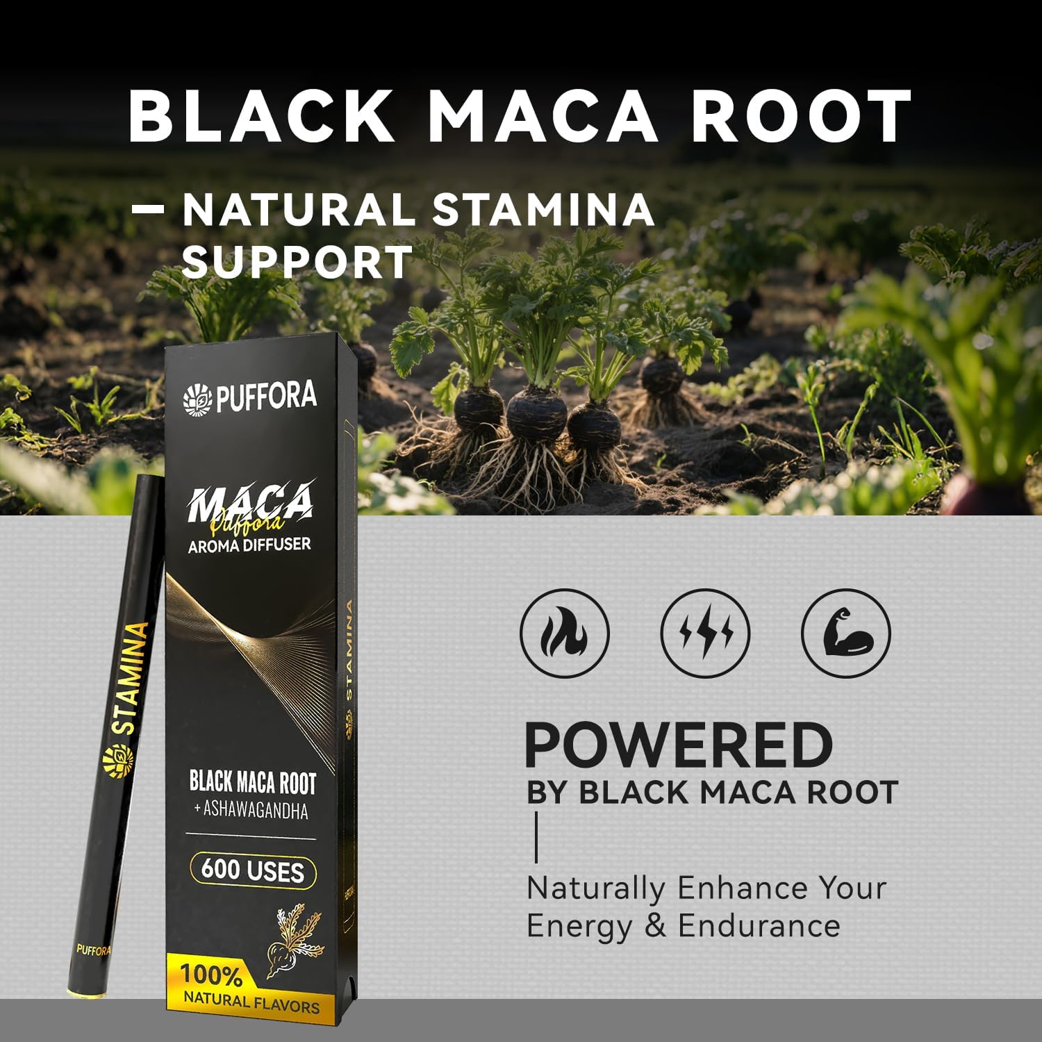 2 Pack, Maca Diffuser (Ashwagandha, B12, C) + Mullein Diffuser (Marshmallow Root, Mint) – Mixed Set, Herbal Anxiety Pen, Clean Breaths & Daily Vitality