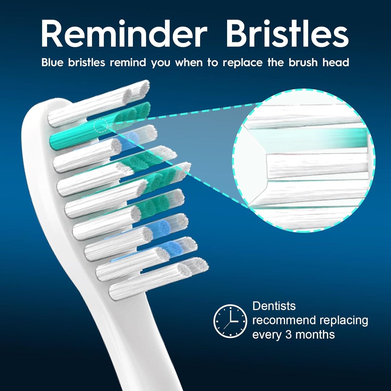 Replacement Brush Heads Compatible with Philips Sonicare, Compatible with Sonicare E Series Essence Xtreme Elite Advance and CleanCare Screw-on Electric Toothbrush, BN728, 8 Pack