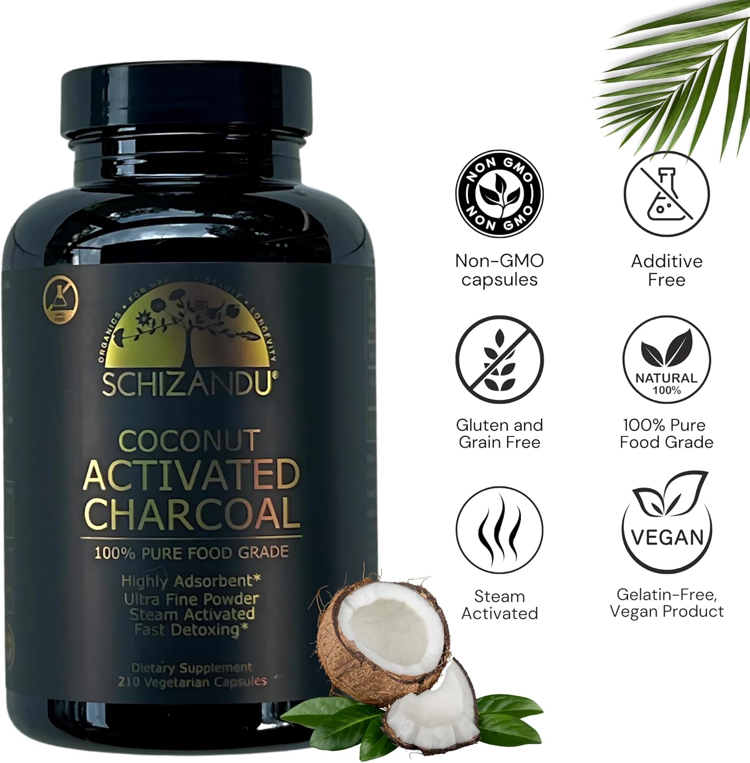 Schizandu Activated Coconut Charcoal Capsules- Supports Health - Vegan, Organic, Non-GMO, No Additives - X-Large Bottle 210 Count
