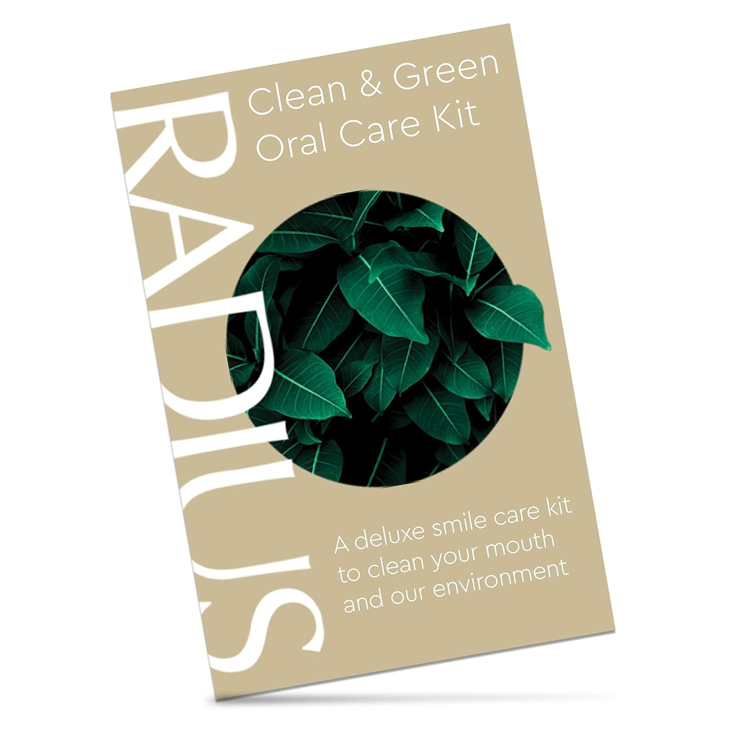 RADIUS Clean & Green Deluxe Oral Care Kit (Source Toothbrush With Replacement Head, Organic Mint Aloe Neem Toothpaste, Vegan Xylitol Mint Floss, Travel Case), 1 Count