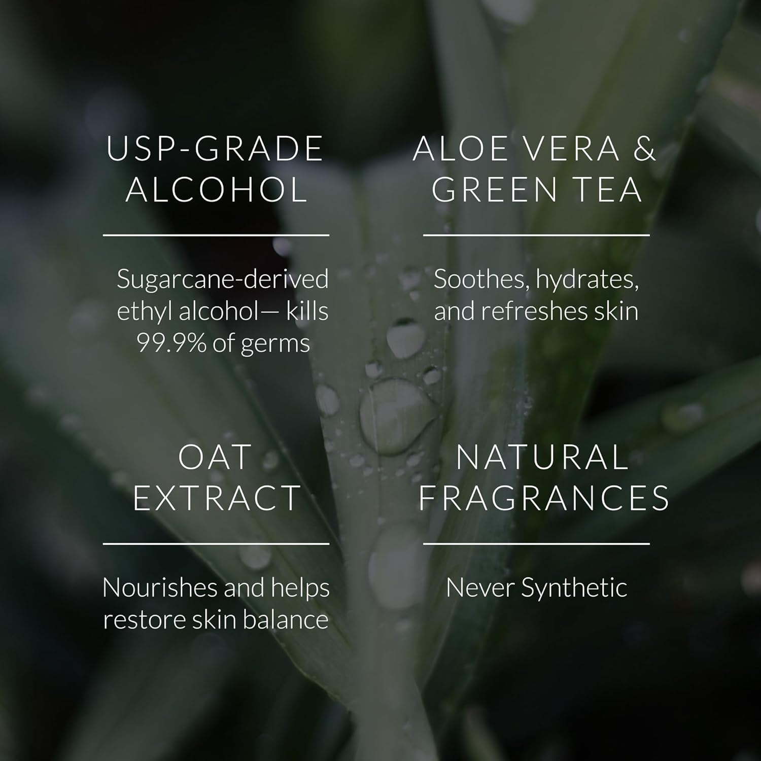 Noshinku – Bergamot Hand Sanitizer Wipes, 3-Pack (45 Towelettes) – Resealable Travel Wipes with Ethyl Alcohol, Aloe & Green Tea, Plant-Based Fiber, Essential Oil Scents, Cruelty-Free & No Dyes