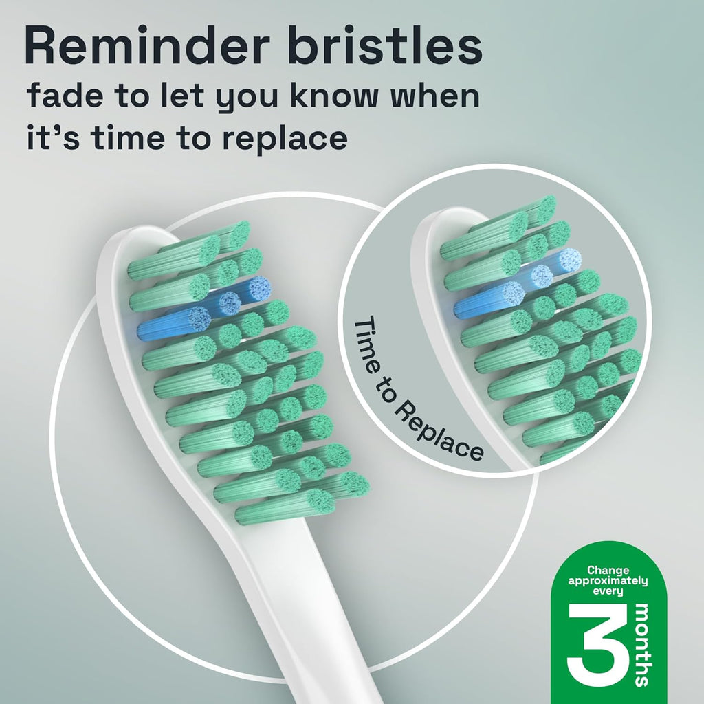 Brushmo e-Series Total Clean Replacement Toothbrush Heads, Compatible with Philips Sonicare Screw-on Electric Toothbrush Handles, 6 Standard Heads, Medium Firm Dupont Bristles, BM726, White