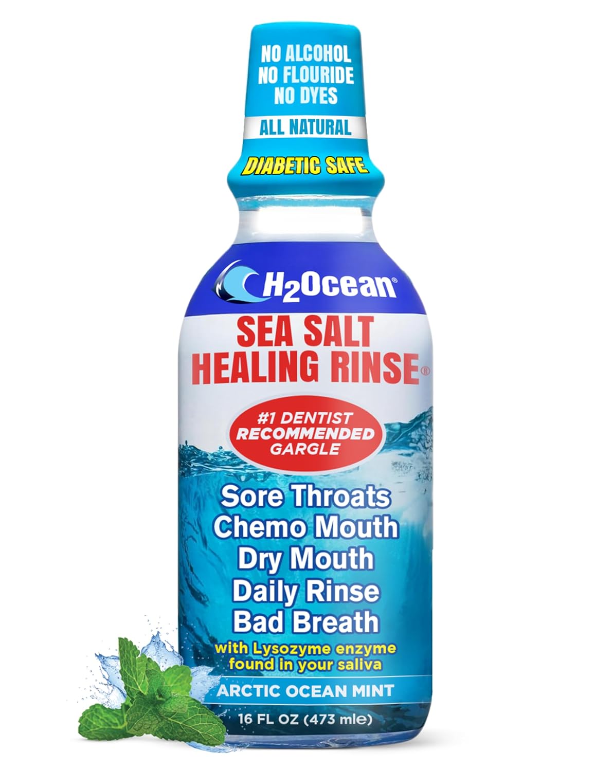 H2Ocean Healing Rinse Natural Sea Salt Oral Care - Mouth Rinse for Oral Care - Great for Piercings, Sore Throats & Gum Health - Alcohol- & Fluoride-Free Mouthwash - Arctic Ocean Mint, 16 oz