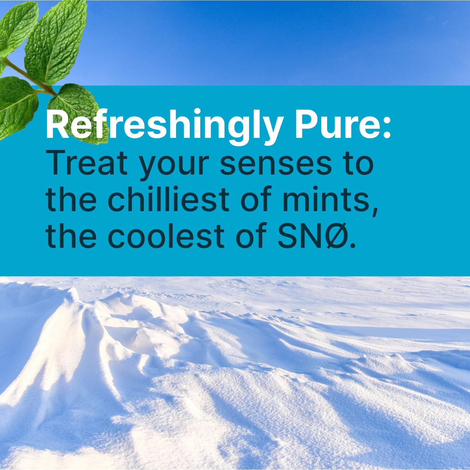 SNØ Peppermint Xylitol Candy Chips | Oral Health Support | Pure Birch Xylitol | Sugar-Free, Low-Carb, Diabetic-Friendly | Vegan, Non-GMO, Gluten-Free, Kosher, Keto-friendly (1 LB Bag)