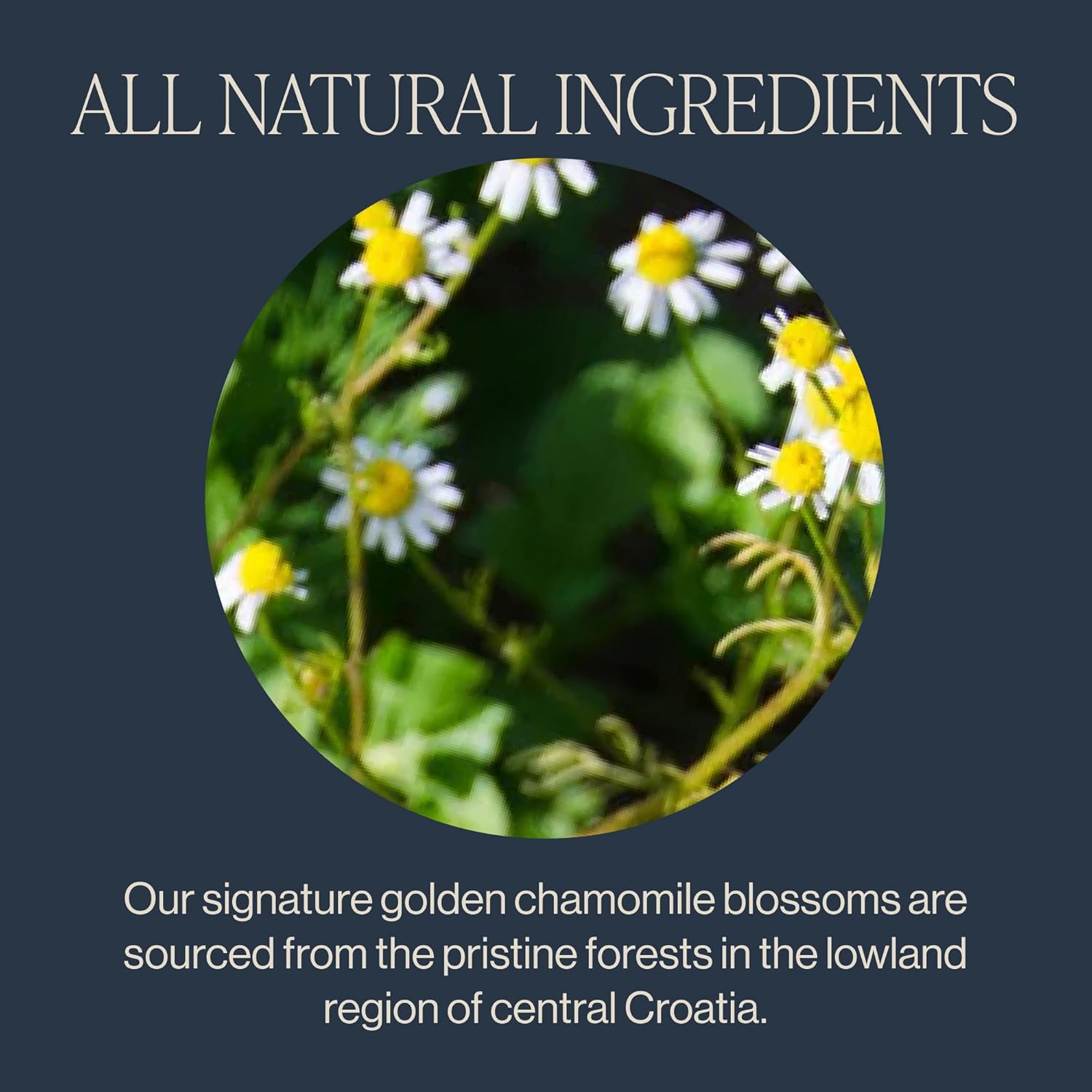 Rishi Tea Chamomile Medley Herbal Tea - Organic, Caffeine Free Sachet Bags, Calming Chamomile Flowers with Lemon Verbena & Mint - 15 Count (Pack of 1)