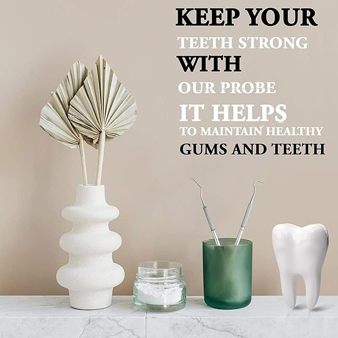 Professional Dental Tools - Dental Pick, Dental Scaler for Tartar Plaque Remover Tooth Cleaner Teeth Scraper Dentist Hygienist Kit Sickle Scaler Teeth Cleaning Set Stainless Steel 2 Pc By Krisp Beauty