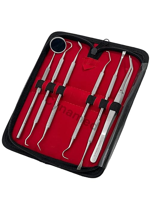 Premium Dental Tools, Plaque Remover for Teeth, Professional Hygiene Cleaning Kit,Stainless Tooth Scraper Plaque Tartar Remover Cleaner,Dental Pick Scaler Oral Care Tools Set (Set of 6 with CASE)