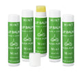 Mint Lip Balm Collection, Vegan Set, Beeswax Free, with Organic Jojoba and Avocado Oil, Vitamin E, Natural Moisturizer for Dry, Chapped Lips, 5 Tube Set