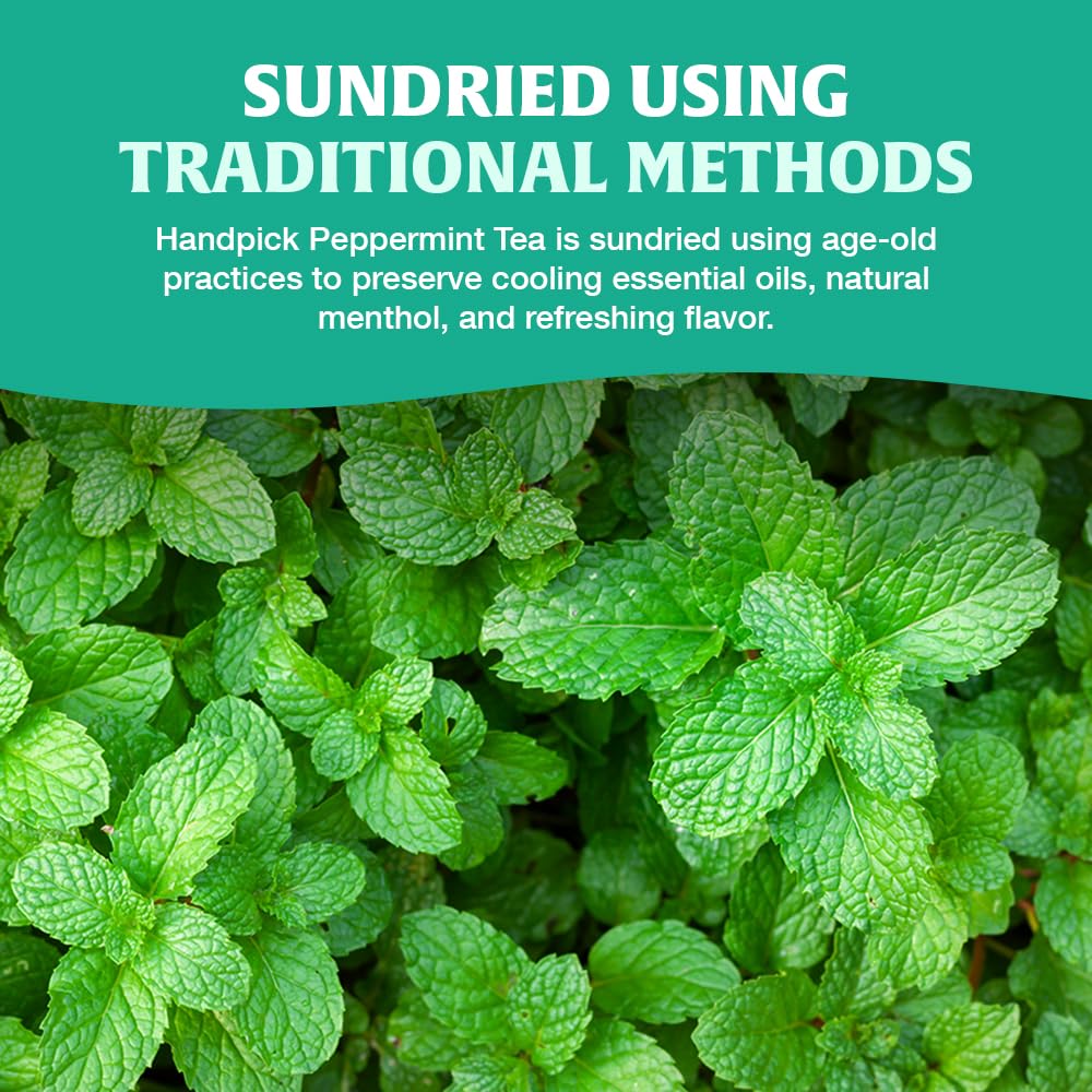 HANDPICK, Peppermint Tea, Eco-Conscious Tea Bags - 100 Count | Caffeine Free, Non-GMO | Minty, Fresh & Cool flavor | Direct From Source